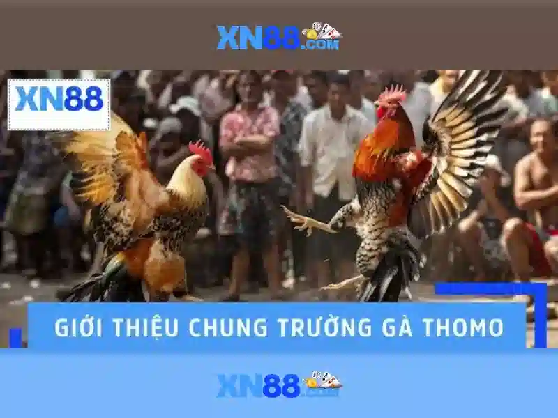 Hướng dẫn cá cược