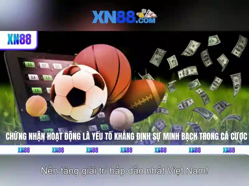 Tải XN88 Miễn Phí